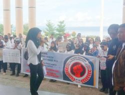Akan Dilakukan Bertahap, 1.839 Honorer Punya Peluang Lolos PPPK
