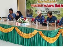 Pemda Bangkep Gelar Sosialisasi, Investasi Pengelolaan Kelapa