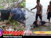 Dua Bocah Temukan Mayat di Pantai, Warga Kintom Geger