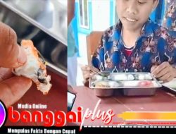 Ada Bangkai Cicak Dimenu MBG SPPG Singkoyo Toili Banggai