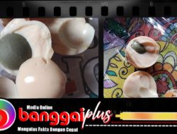 Segera Dievaluasi, Setelah Bangkai Cicak, Telur Busuk Kembali Tersaji Dalam Menu MBG