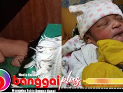 Bayi di Bawah Mimbar Ditemukan Bersujud, Dugaan Kuat Dibuang Orang Tuanya