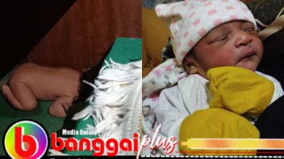 Bayi di Bawah Mimbar Ditemukan Bersujud, Dugaan Kuat Dibuang Orang Tuanya