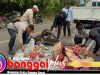 Tidak Mampu Mendaki, Mobil Sayur “Taguling” di Jalan Lingkar Trans Batui