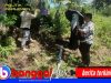 Proyek Air Bersih Senilai Rp500 Juta di Desa Louk Mangkrak, Warga Minta Kejaksaan Ambil Langkah Hukum