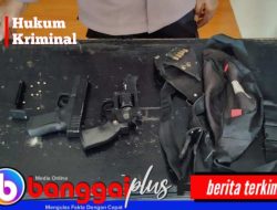 Tak Kantongi Izin Resmi, Dua Airsoft Gun Milik Warga Pagimana Diamankan