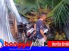 Angin Kencang Landa Nuhon, Pohon Kelapa Tumbang Timpa Rumah dan Tiga Sepeda Motor