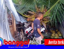 Angin Kencang Landa Nuhon, Pohon Kelapa Tumbang Timpa Rumah dan Tiga Sepeda Motor