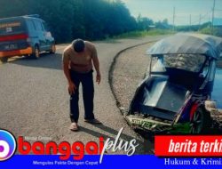 Hendak ke Puskesmas Untuk Melahirkan, Bumil di Pagimana Malah Jadi Korban Tabrak Lari