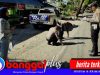 Lakalantas di Luwuk Selatan, Bocah 7 Tahun Meninggal Dunia