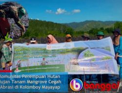 Komunitas Perempuan Hutan Hujan Tanam Mangrove di Mayayap, Cegah Abrasi dan Pulihkan Ekosistem Pesisir