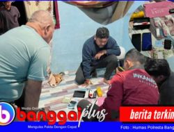 Lagi, Polisi Ciduk Pengedar Narkoba di Pagimana, 11 Paket Sabu Jadi Bukti
