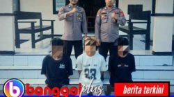 Bobol Sarang Burung Walet, Tiga Pelaku Ditangkap Polisi