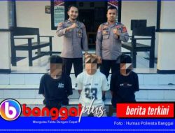 Bobol Sarang Burung Walet, Tiga Pelaku Ditangkap Polisi