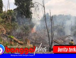 Agar Tak Meluas, Polsek Batui dan Pertamina EP Antisipasi Kebakaran Lahan Perkebunan Warga Nonong