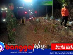 Karhutla Kembali Terjadi, Tim Gabungan Bergegas Padamkan Api di Desa Poh Pagimana