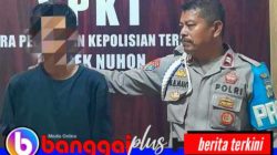 Curi Sapi untuk Biaya Variasi Mobil, Pria 28 Tahun Ditangkap Polsek Nuhon