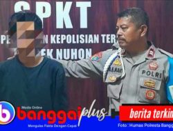Curi Sapi untuk Biaya Variasi Mobil, Pria 28 Tahun Ditangkap Polsek Nuhon