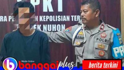 Curi Sapi untuk Biaya Variasi Mobil, Pria 28 Tahun Ditangkap Polsek Nuhon