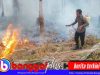 Karhutla Kembali Terjadi di Bangketa Nuhon, Api Merambat ke Perkebunan dan Puncak Bukit