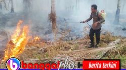Karhutla Kembali Terjadi di Bangketa Nuhon, Api Merambat ke Perkebunan dan Puncak Bukit