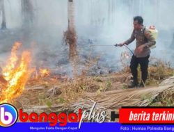 Karhutla Kembali Terjadi di Bangketa Nuhon, Api Merambat ke Perkebunan dan Puncak Bukit