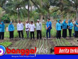 TP PKK & Dinas TPHP Banggai Tinjau Kelompok Tani Binaan PT PAU di Batui