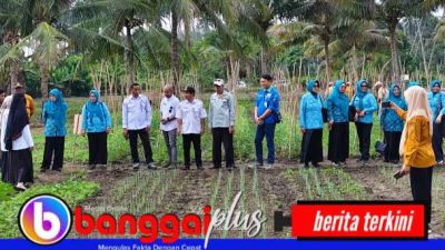 TP PKK & Dinas TPHP Banggai Tinjau Kelompok Tani Binaan PT PAU di Batui