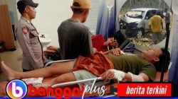 Mobil Menabrak Pohon Kelapa di Nuhon, Pengemudi Mengalami Microsleep 5 Orang Cidera