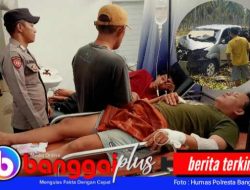 Mobil Menabrak Pohon Kelapa di Nuhon, Pengemudi Mengalami Microsleep 5 Orang Cidera