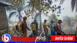 Akibat Bakar Lahan Kebun Serampangan, Karhutla Hanguskan 5 Hektare Lahan Perkebunan di Pohi