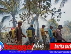 Akibat Bakar Lahan Kebun Serampangan, Karhutla Hanguskan 5 Hektare Lahan Perkebunan di Pohi