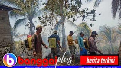 Akibat Bakar Lahan Kebun Serampangan, Karhutla Hanguskan 5 Hektare Lahan Perkebunan di Pohi