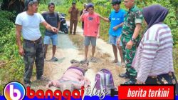 Pria 64 Tahun Ditemukan Meninggal di Jalan Menuju Kebun Desa Padang, Kerabat Tolak Autopsi
