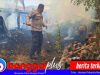 Polsek Balantak dan Warga Padamkan Api di “Tempat Pupu” Kelapa, Kerugian Capai Rp15 Juta