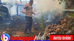 Polsek Balantak dan Warga Padamkan Api di “Tempat Pupu” Kelapa, Kerugian Capai Rp15 Juta