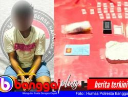 Miliki Belasan Paket Sabu, Remaja 17 Tahun di Luwuk Selatan Diringkus Polisi