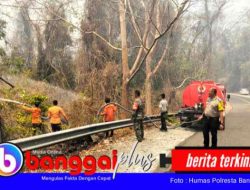 Karhutla di Jalur Lipatan Empat Desa Poh Pagimana, Arus Lalu Lintas Tetap Lancar